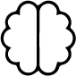 Brain